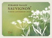 2023 North Canterbury Sauvignon +