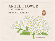 2022 Angel Flower Pinot Noir